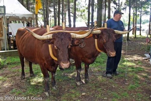 14066468_10153895319653697_890952738105849911_o